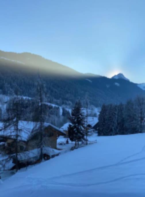 Appartement Cosy Proche Chatel Portes Du Soleil - Linge Inclus 아봉당스 외부 사진